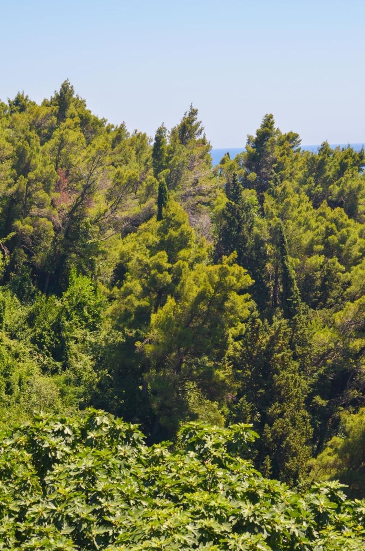 Villa Dulsinea Ulcinj Exteriér fotografie